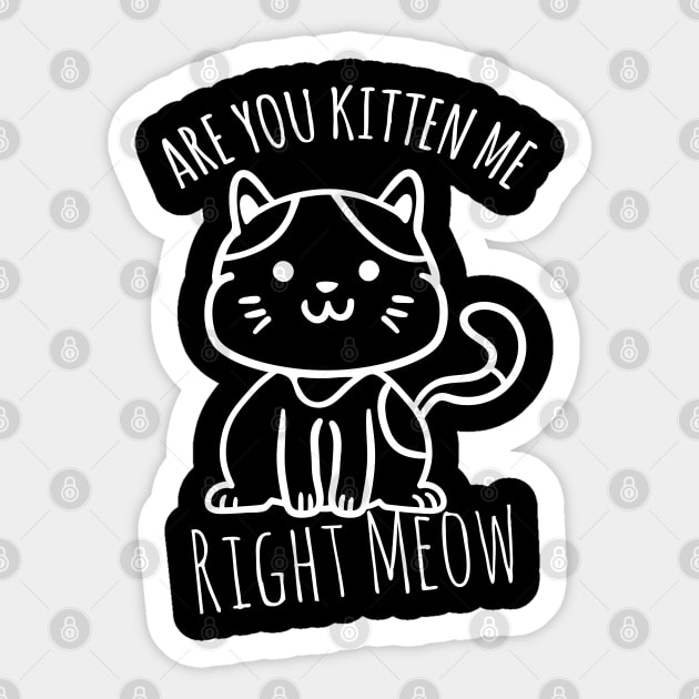 Are You Kitten Me Right Meow Sticker by Sunil Belidon